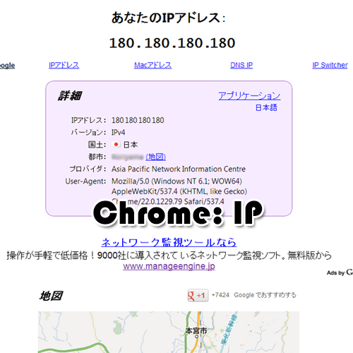 Chrome プラグイン IP